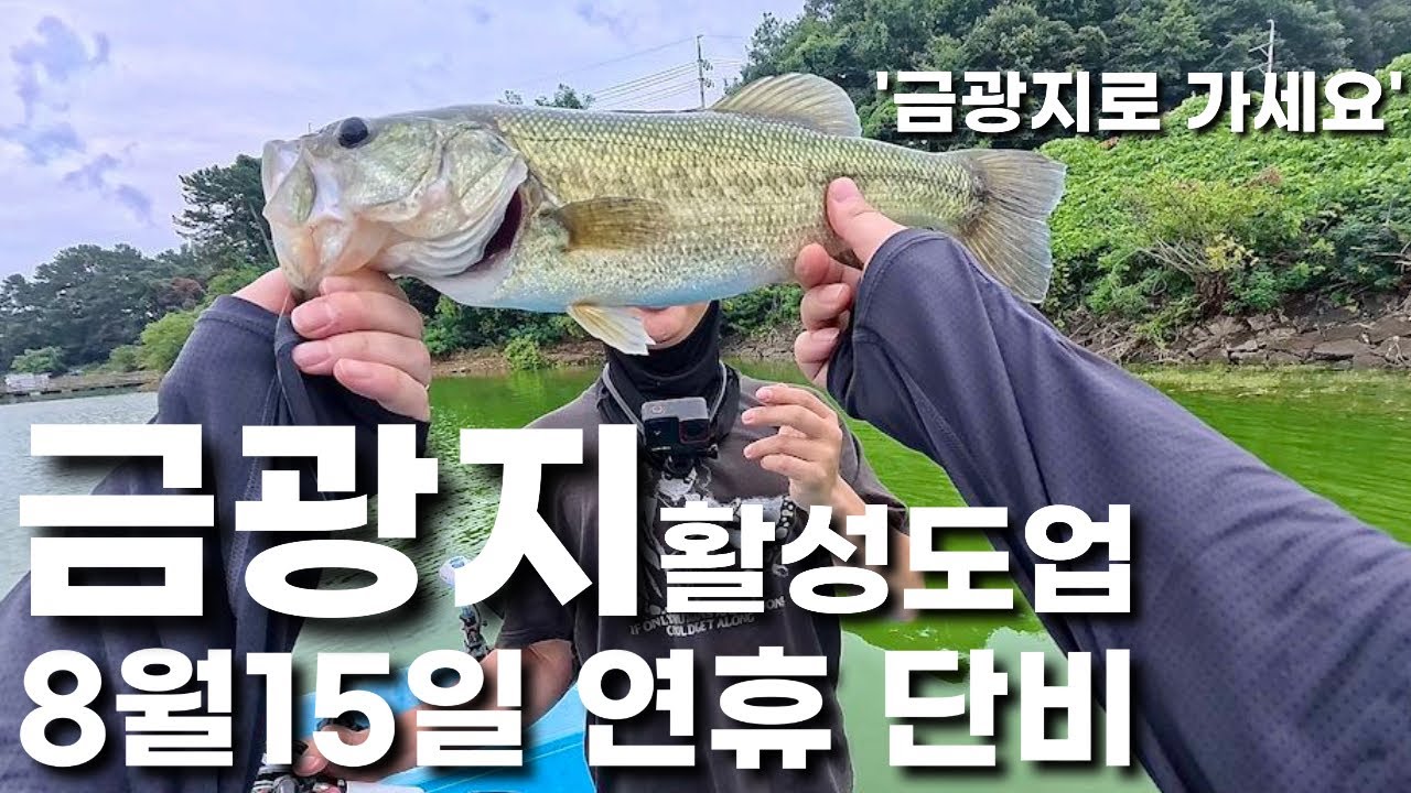 [배스 낚시] 금광지 배스 비가오니 활성도 업!