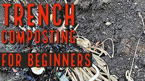How to Trench Compost | The Simple and Easy Method for Beginners