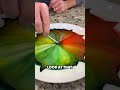 Color Changing Milk