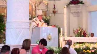 042411_DiNardo_Easter_Homily.mp4