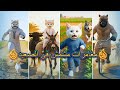 مغامرات القط مشمش في الصعيد مشاهد أسطورية 