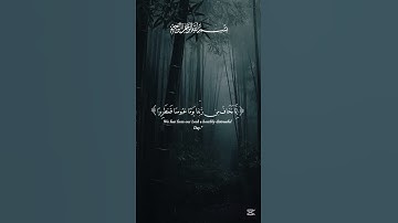 تلاوة خاشعة جميلة بصوت القارئ اسلام صبحي - ارح قلبك وسمعك 😴❤️ #اسلام_صبحي #القرآن_الكريم #قرآن