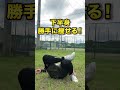 【腰痛改善】たった10回で反り腰骨盤矯正 #理学療法士が教える＃姿勢改善＃骨盤矯正＃セルフケア＃ストレッチ＃ダイエット初心者