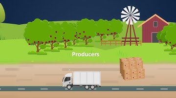 Farm to Fork Explainer