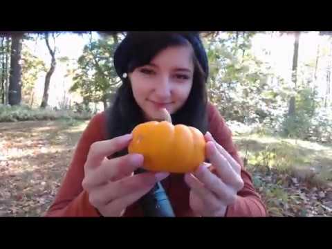 ASMR Fall Foraging Bundle