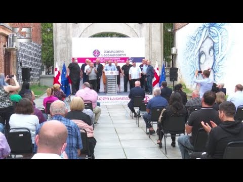 \"ევროპული საქართველოს\"  ლიდერებმა იმერეთის რეგიონის კანდიდატები წარაედგინეს