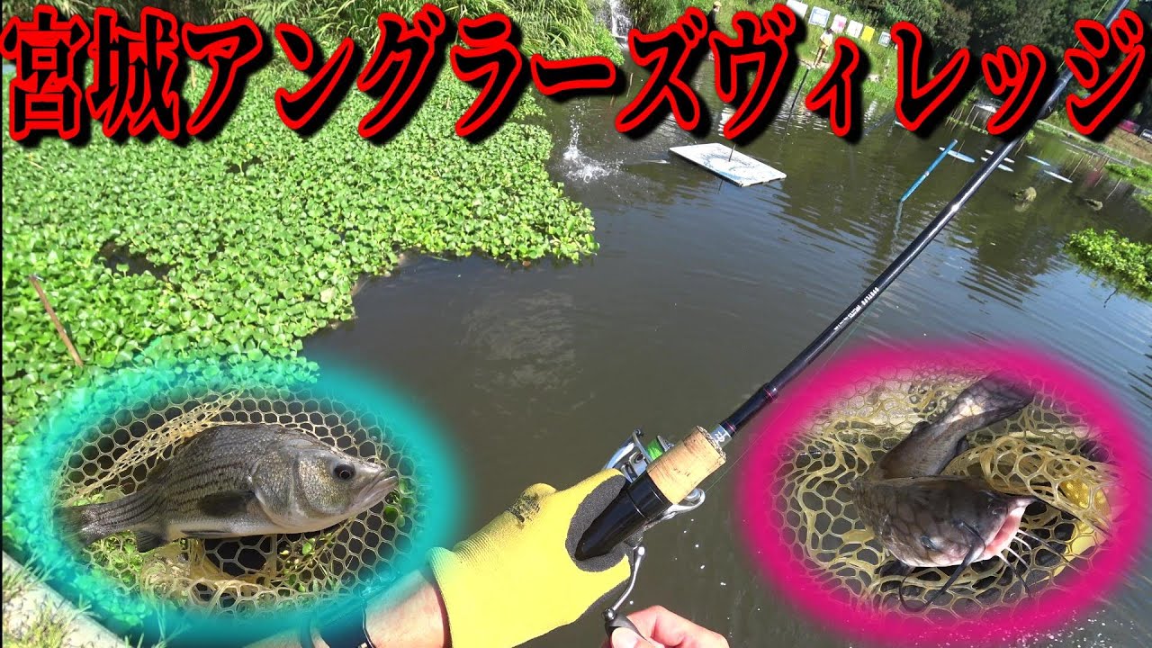 宮城アングラーズヴィレッジは最高に面白い！