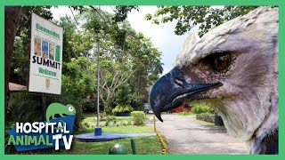 El impresionante Parque Summit en Panamá 🇵🇦 | Hospital Animal TV