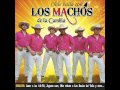 Juguete Caro - Los Machos De La Cumbia 2013 - Lo Nuevo