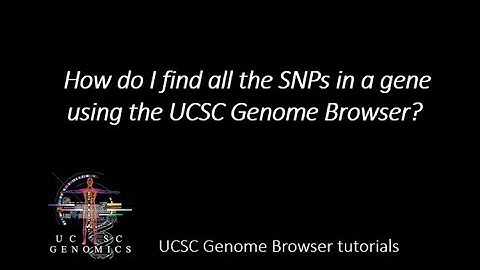 How do I find all the SNPs in a gene using the UCSC Genome Browser?