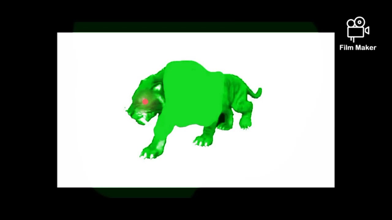 Dark Morph X Monster Tiger Jr This is for BlackTank Network