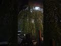 #shortsviral #shortvideo #shorts