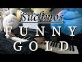 【suchmos】FUNNY GOLD ピアノアレンジ