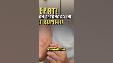 Mereka memang kecil, tapi efeknya bahaya banget