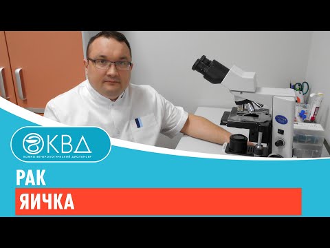 💣 Рак яичка. Клинический случай №504