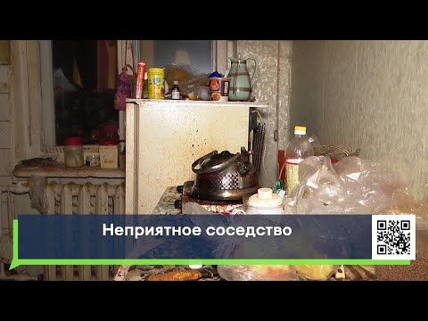 Мешают нормально жить - как бороться с опустившимися соседями-алкоголиками?