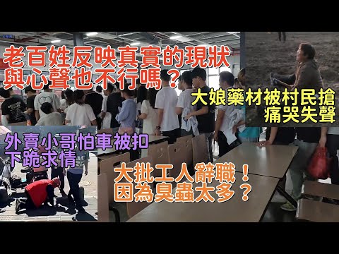 老百姓反映真實現狀與心聲也不行嗎？河南大娘種植的藥材被村民哄搶，痛哭失聲！外賣小哥怕車被扣，下跪求情！大批打工人辭職，竟是因臭蟲太多？