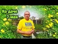 На даче 7 мая