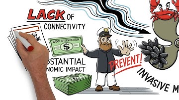 What is Vessel-Check?