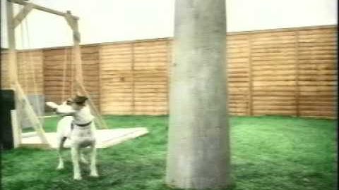 1999 Canine assult course Jaffa Cake Advert .mpg