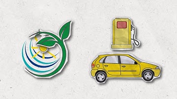 Offsetting CO2 emissions together with Shell