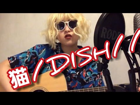 猫 / DISH// 17歳girl 弾き語り cover