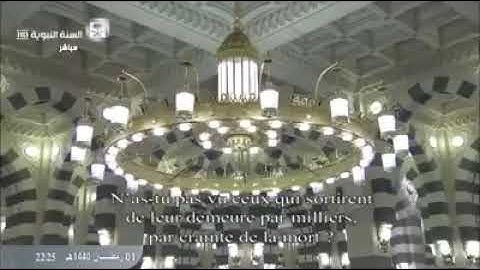 تلاوة جميلة ورائعة تمتع القلب بصوت القارئ الشيخ احمد بن طالب❤️