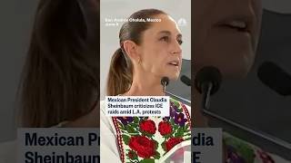 Ice Raids Prompt Ire From Mexicos President
