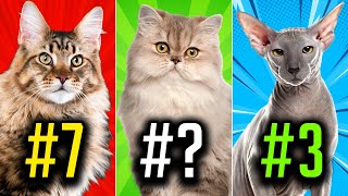 Top 10 Most Popular Cat Breeds In The World! (2022) by Cat Nation 941 views 1 year ago 12 minutes, 33 seconds