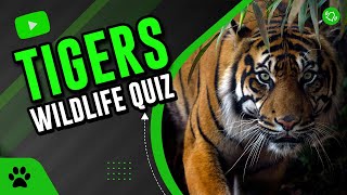 Tigers quiz | Animals quiz | Wildlife Quiz screenshot 2