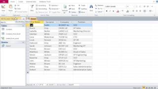Famous Databases with Microsoft Access 8 –Filter Data with Wild Cards * and ? Wealth