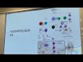 Artritis Reumatoide
