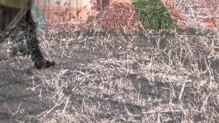 Many Steps In A Few Seconds - Wavesofvideos. A Short Video By Haldor Paulsson.