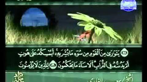 سورة النحل كاملة الشيخ سعد الغامدي