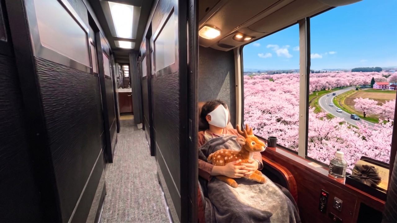 2 Day Cherry Blossom Trip on Japan’s Overnight First-Class Capsule Bus 🌸| Tokyo - Nara 🇯🇵