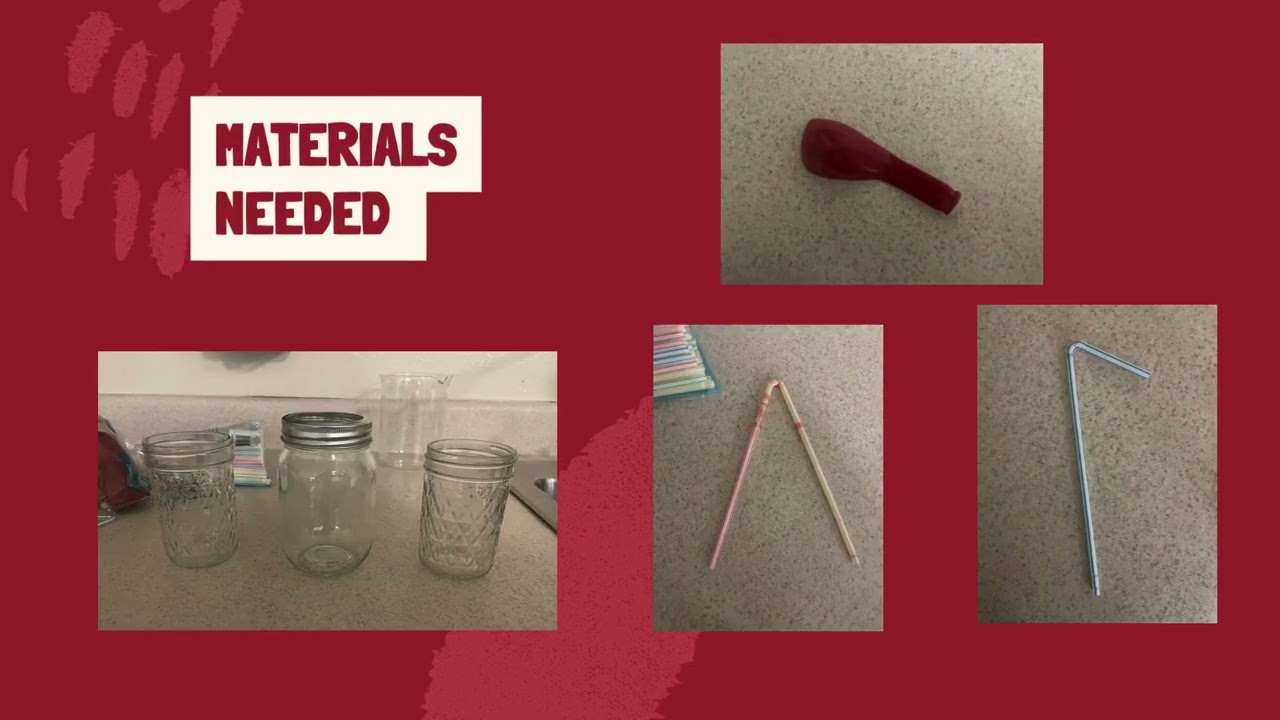 Heart Pumping Model - STEM SOS PBL Level 2 Project