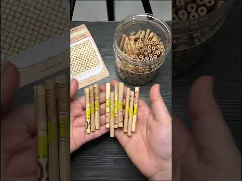 Berhasil nabung 500
