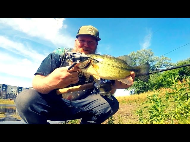 Savage Gear 3D Bat / Catching Bass With Topwater Lures / Weird Fishing Lures  Challenge 