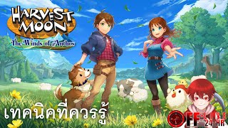 23 เทคนิคที่ควรรู้ในเกม Harvest Moon: The Winds of Anthos