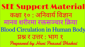 Blood Circulation in Human Body । Com Science । Class 10 । SEE Support Material । Hari Prasad Dhakal