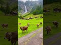 Switzerland, MOST BEAUTIFUL COUNTRY #short #hastag #youtube