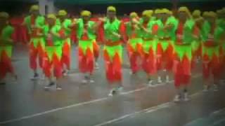 cpdrc sinulog 2011 ( OFFICIAL VIDEO ).mp4
