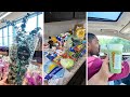VLOG | Grocery Shopping at Aldi and LIDL, Shopping Haul, Dunkin Run, Peep into my Pantry, + Cleaning