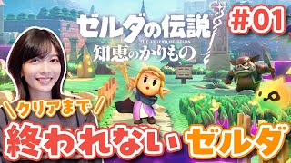 ゼルダの伝説 ゲームセット ティアキン、ブレワイ、夢をみる島、知恵のかりもの ゼルダの伝説 ゲームセット ティアキン、ブレワイ、夢をみる島