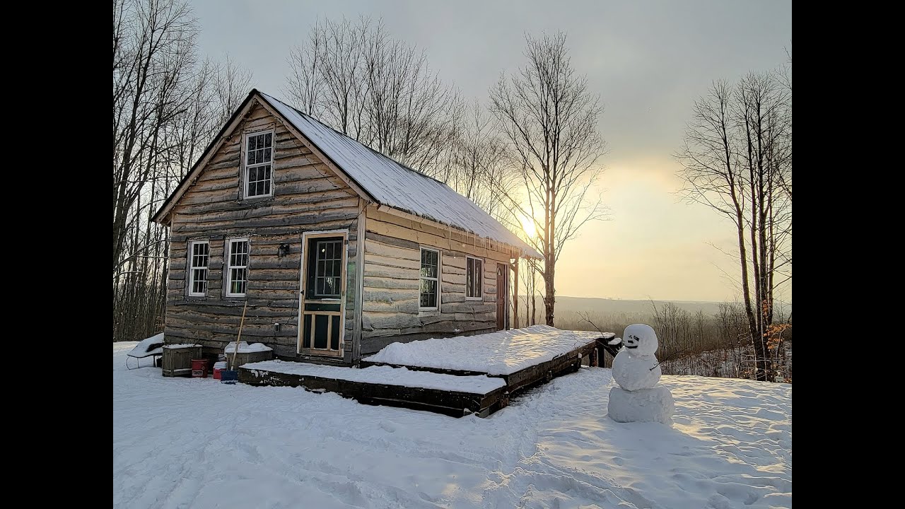 A Tour Of Our Off-grid Tiny Cabin In The Woods! - YouTube