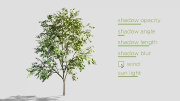 3 Growing Trees In The Wind | After Effects Project Files - Videohive template