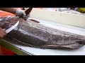 Fish Filleting- Grouper