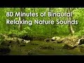 80 Minutes of Binaural Woodland Ambience ( Nature Sounds Series #8) Trickling Stream & Bird Sounds