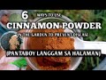 Cinnamon powder uses for plants  cinnamon mabisang pantaboy langgam sa halaman  homefoodgarden