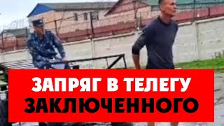 ⚡️ Сотрудник Фсин Запряг В Телегу Заключенного? Началась Служебная Проверка